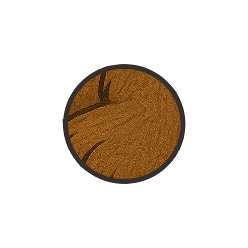 circle